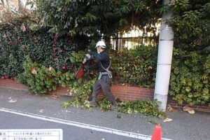 令和6年度の施工事例｜栗山造園株式会社